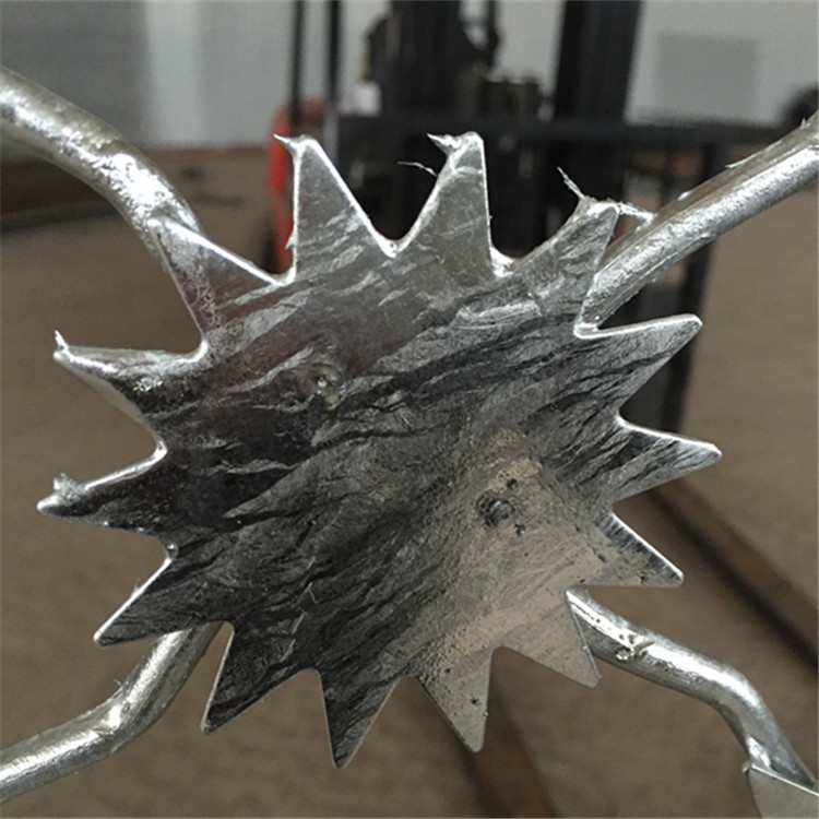 梅花刺隔離網案例展示圖片2 梅花刺隔離網案例展示圖片2