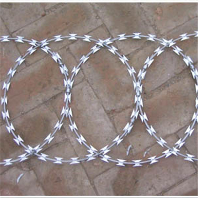 監獄鋼網墻刀片刺繩案例展示圖片3 監獄鋼網墻刀片刺繩案例展示圖片3