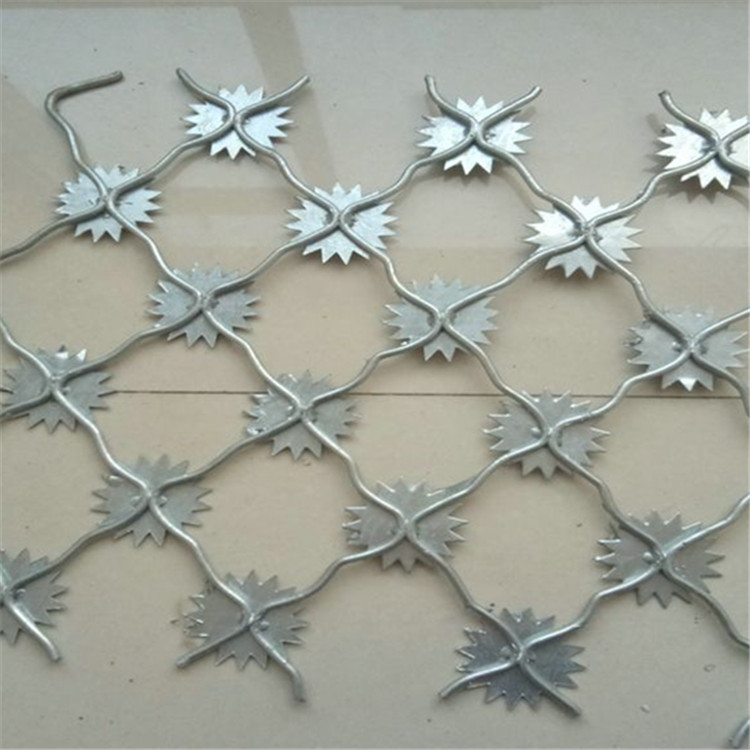 梅花刺監(jiān)獄防護(hù)網(wǎng)案例展示圖片3 梅花刺監(jiān)獄防護(hù)網(wǎng)案例展示圖片3