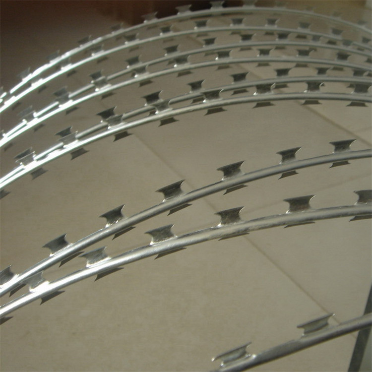 刀刺網案例展示圖片1