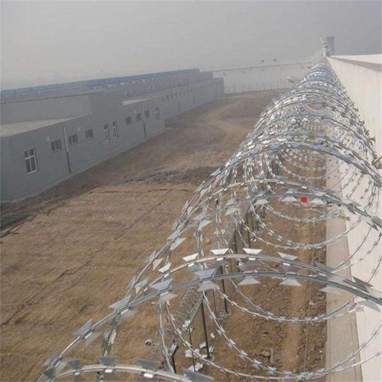 刀片刺網案例展示圖片4