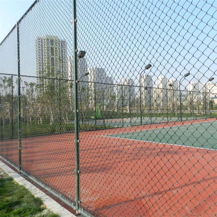 體育場(chǎng)圍網(wǎng)案例展示圖片4